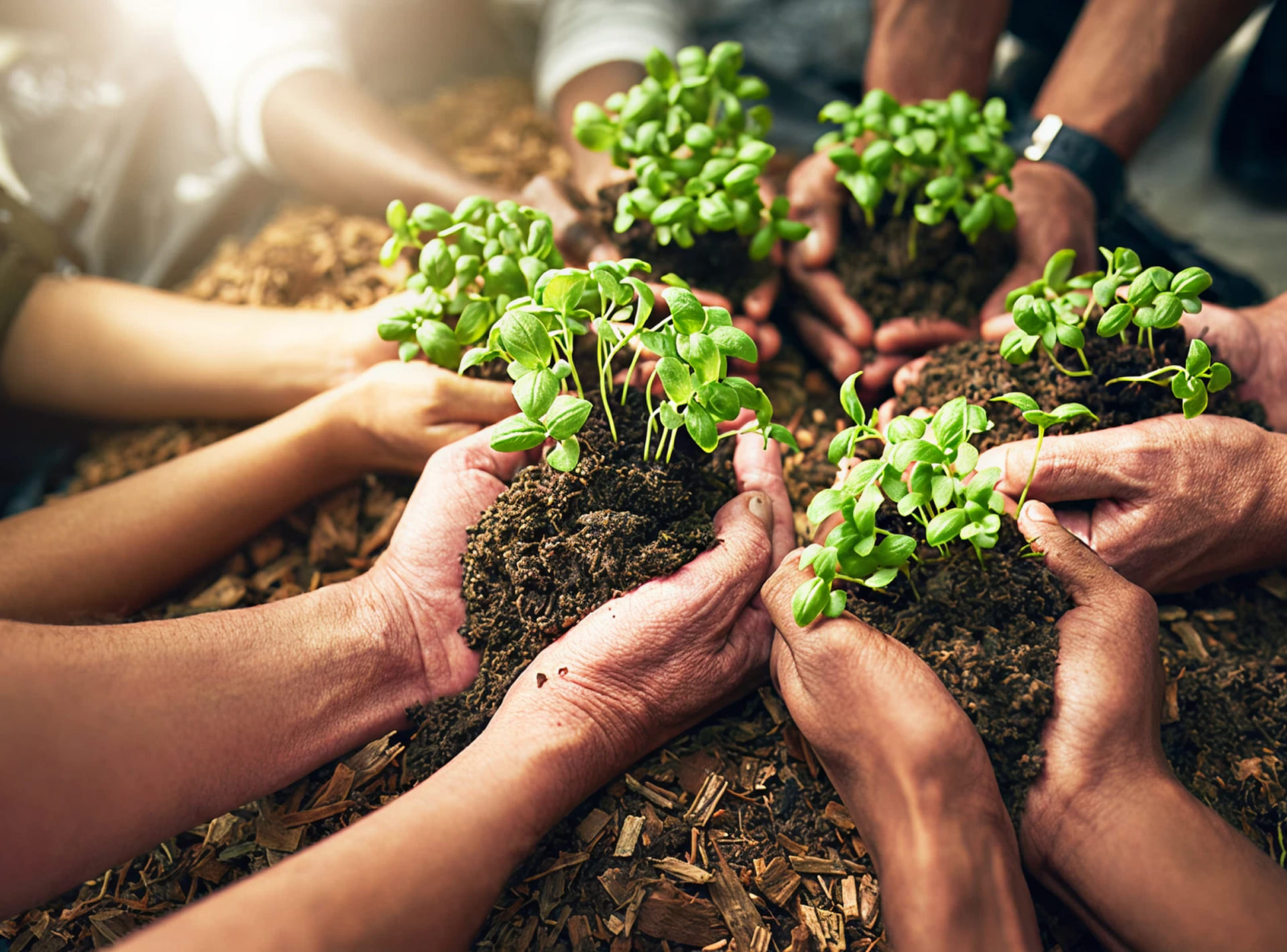 Sustainable Development