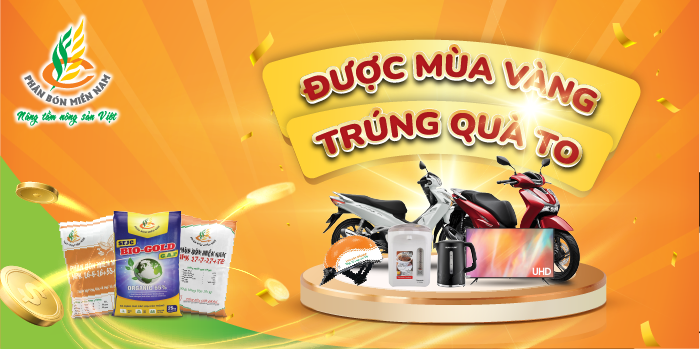 Thể lệ Chương trình Khuyến mại ĐƯỢC MÙA VÀNG TRÚNG QUÀ TO năm 2024