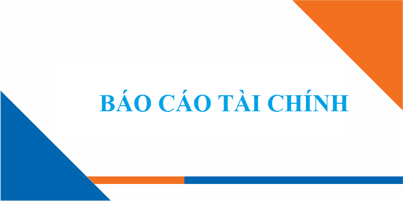 SFG – Báo cáo tài chính Quý 4.2024