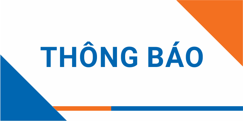SFG – BÁO CÁO TÀI CHÍNH QUÝ I/2019 (CÔNG TY)