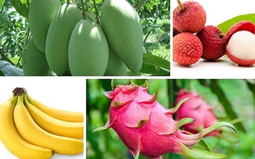 Phóng sự về Phân bón Miền Nam trong chương trình “NIỀM TIN HÀNG VIỆT” (THVL1)