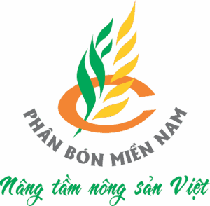 Nâng tầm Nông sản Việt