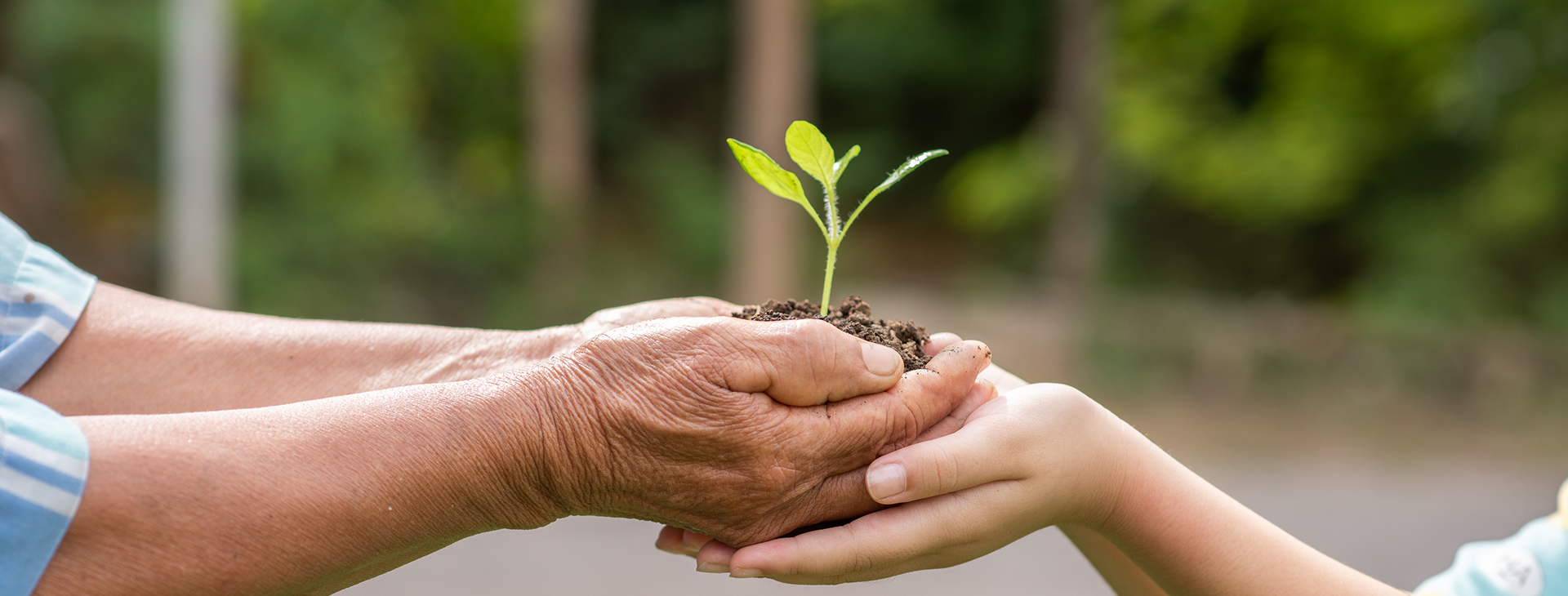 Sustainable Development
