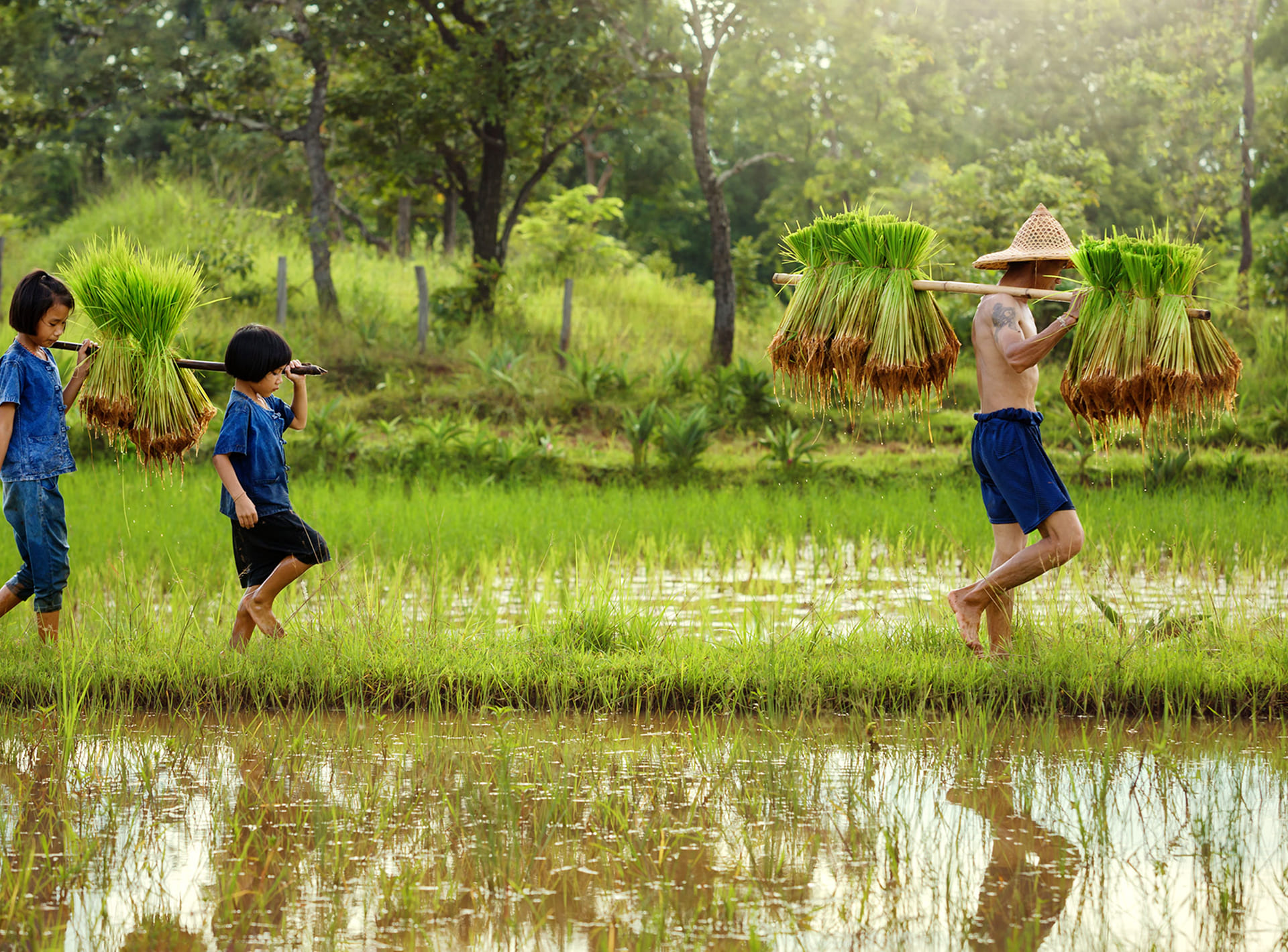 Sustainable Development