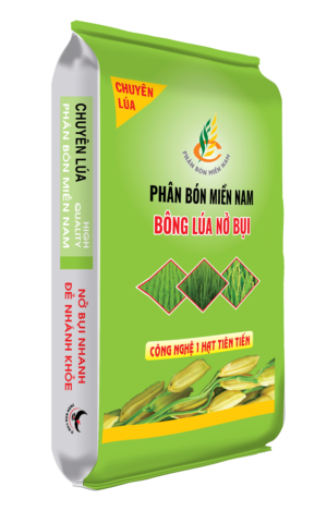 Phân Bón Miền Nam Bông Lúa Nở Bụi